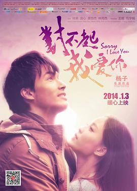 對不起，我愛你2014