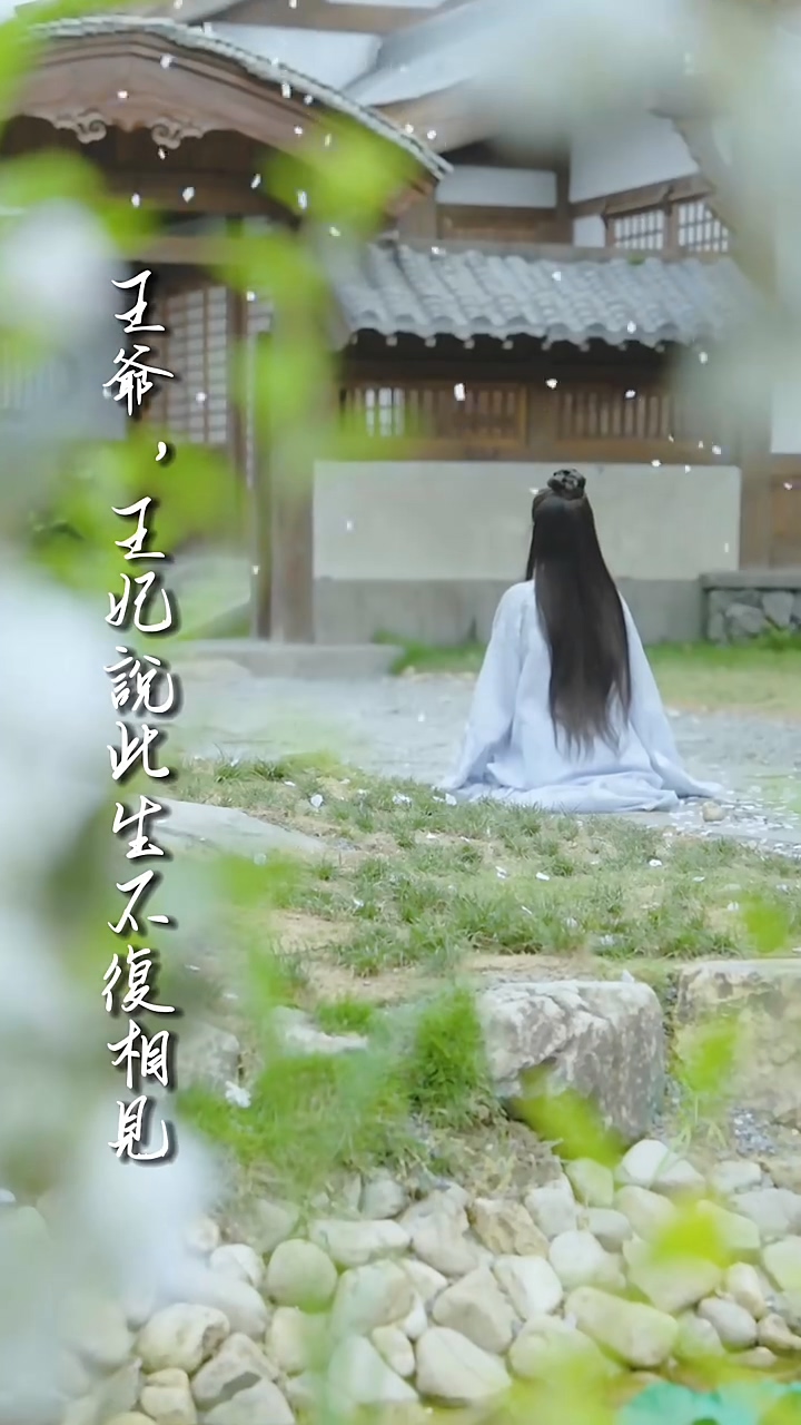 王爺，王妃說此生不復相見(全集)