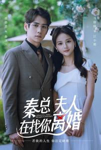 秦總，夫人在找你離婚(全集)
