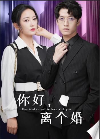 你好，離個(gè)婚(全集)