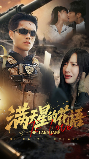 滿天星的花語(全集)