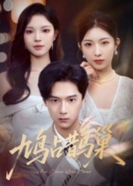 鳩占鵲巢頂流夫人的致命陷阱(全集)