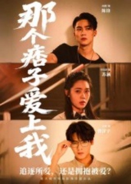 那個(gè)痞子愛(ài)上我(全集)