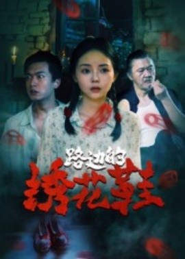 路邊的繡花鞋(全集)
