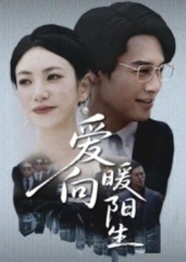 愛(ài)向暖陽(yáng)生(全集)