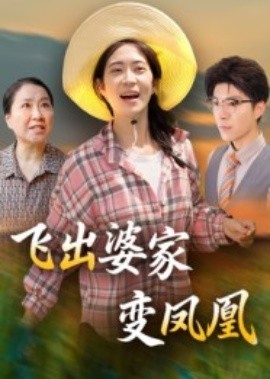 飛出婆家變鳳凰(全集)