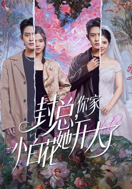 封總，你家小白花她開(kāi)大了(全集)