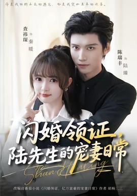 閃婚領(lǐng)證，陸先生的寵妻日常(全集)