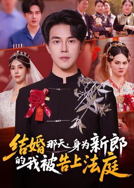 結(jié)婚那天，身為新郎的我被告上法庭(全集)