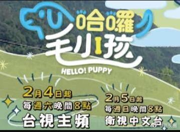 哈啰！毛小孩(全集)