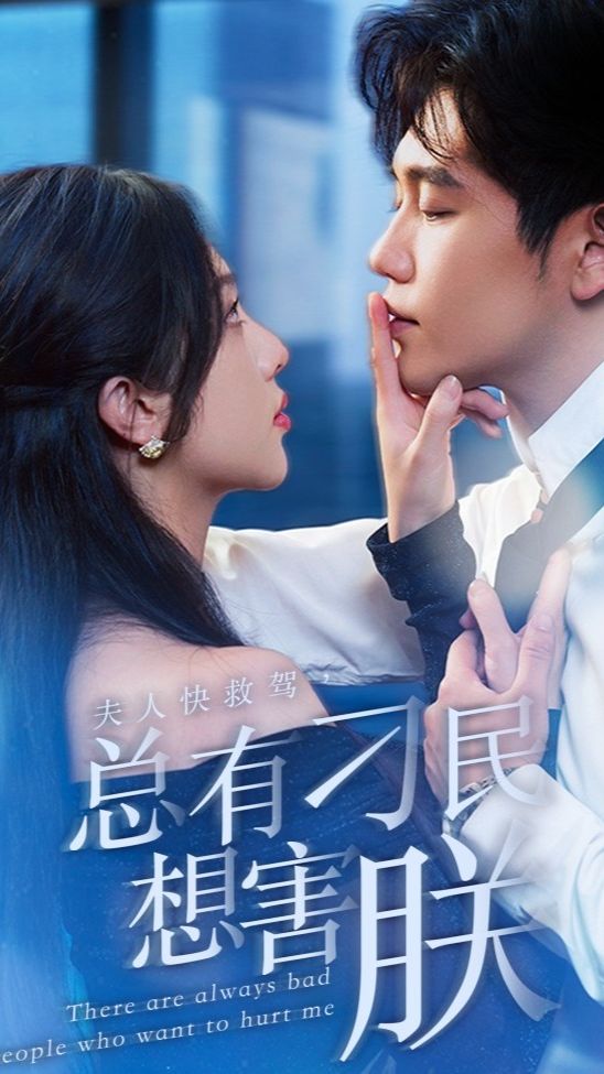 夫人快救駕，總有刁民想害朕(全集)