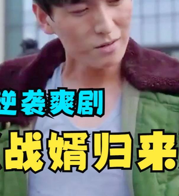 戰(zhàn)婿歸來