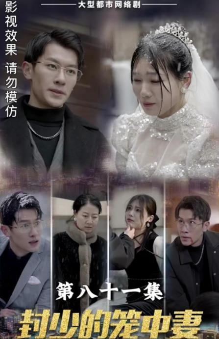 封少的籠中妻