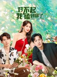 對(duì)不起，我磕到你了(全集)