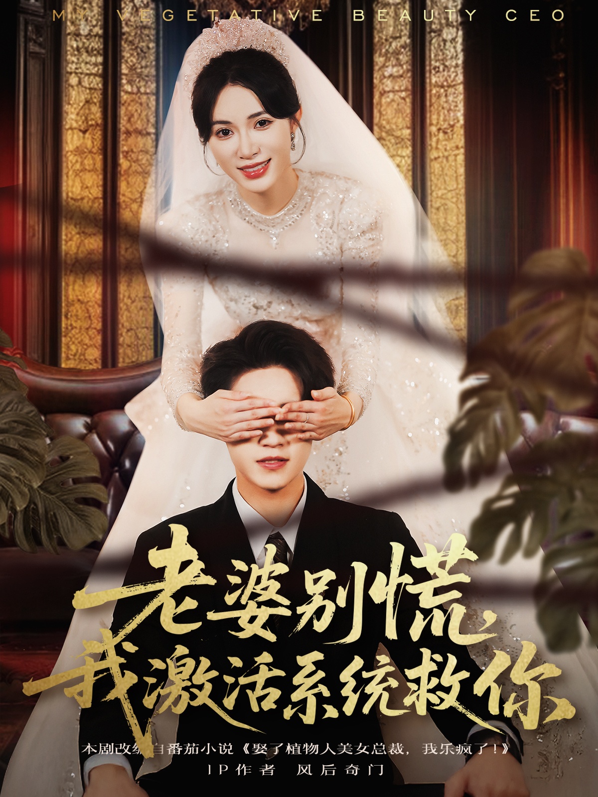 老婆別慌，我激活系統(tǒng)救你(全集)
