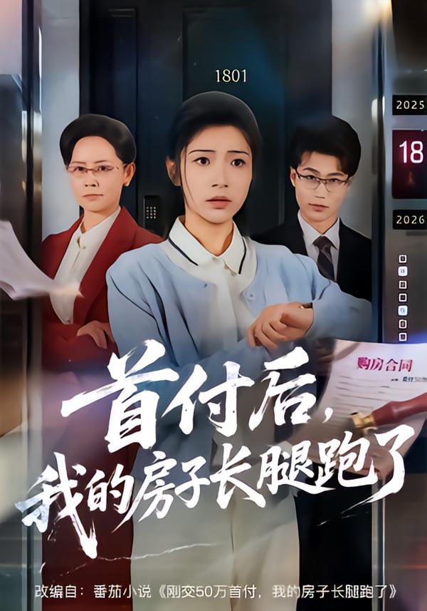 首付后，我的房子長腿跑了(全集)