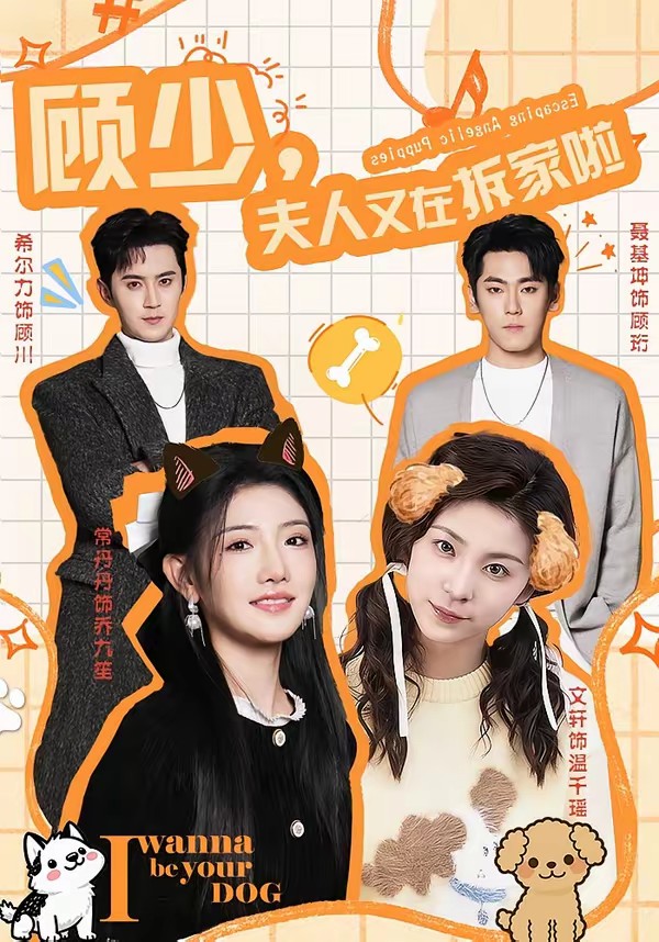 顧少，夫人又在拆家啦(全集)