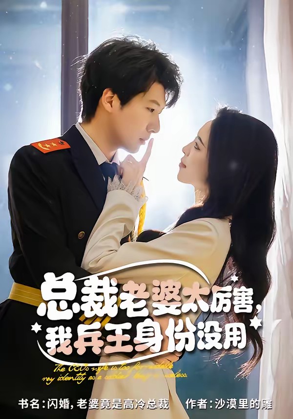 總裁老婆太厲害，我兵王身份沒(méi)用(全集)