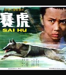 賽虎