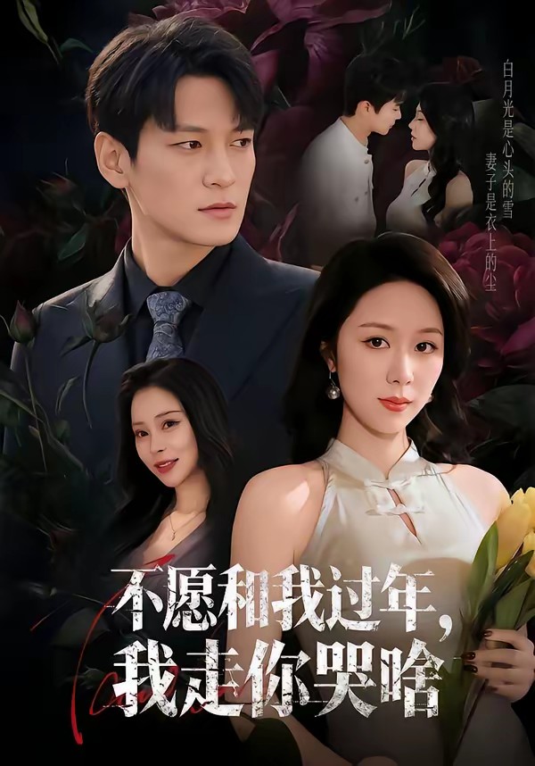 不愿和我過年，我走你哭啥(全集)