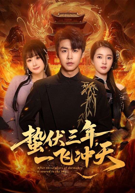 蟄伏三年，一飛沖天(全集)