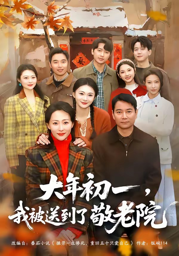 大年初一，我被送到了敬老院(全集)