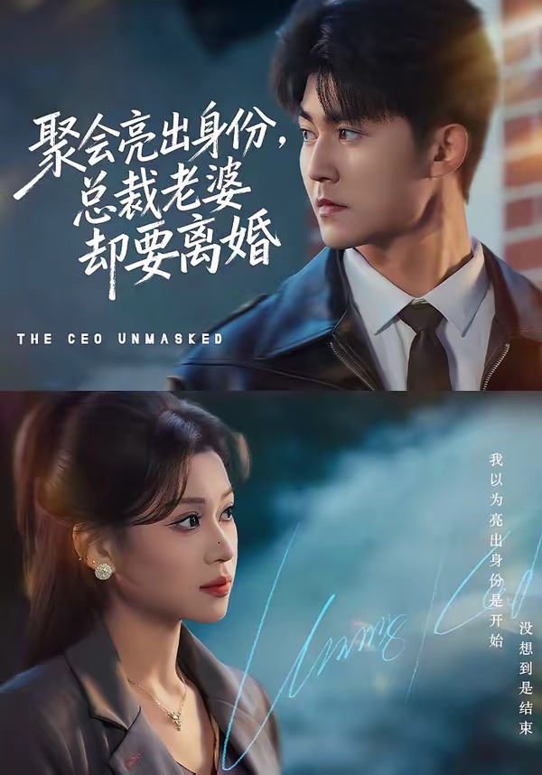 聚會(huì)亮出身份，總裁老婆卻要離婚(全集)
