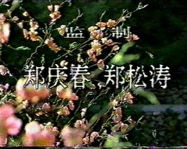 桃色將軍