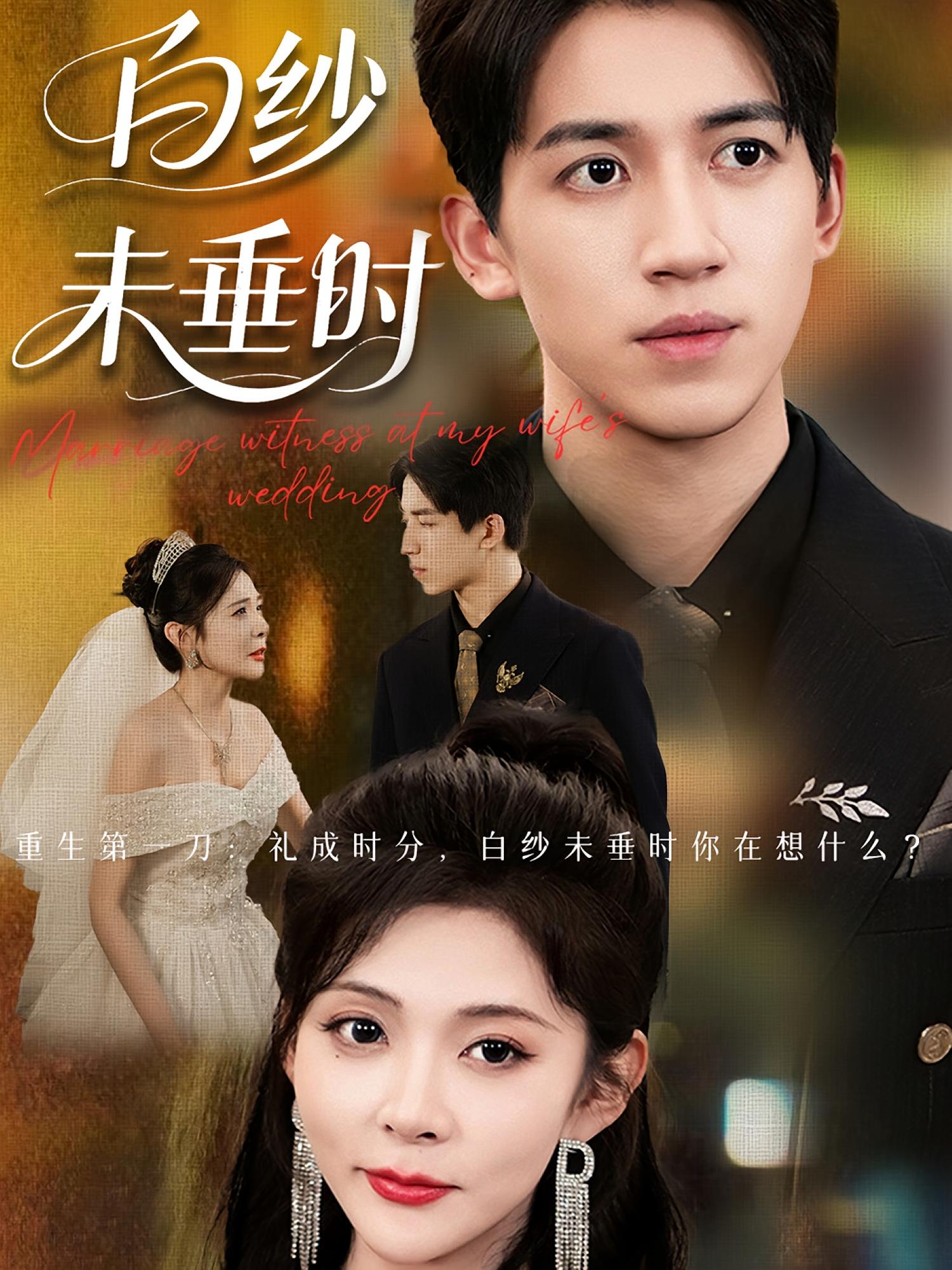 老婆婚禮我當(dāng)證婚人，白紗未垂時(shí)(全集)