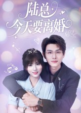 陸總今天要離婚(全集)