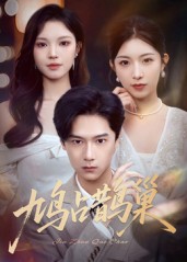 鳩占鵲巢，頂流夫人的致命陷阱(全集)