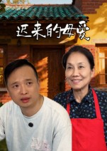 遲來(lái)的母愛(ài)(全集)