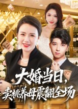 大婚當日，賣桃養(yǎng)母震翻全場(全集)