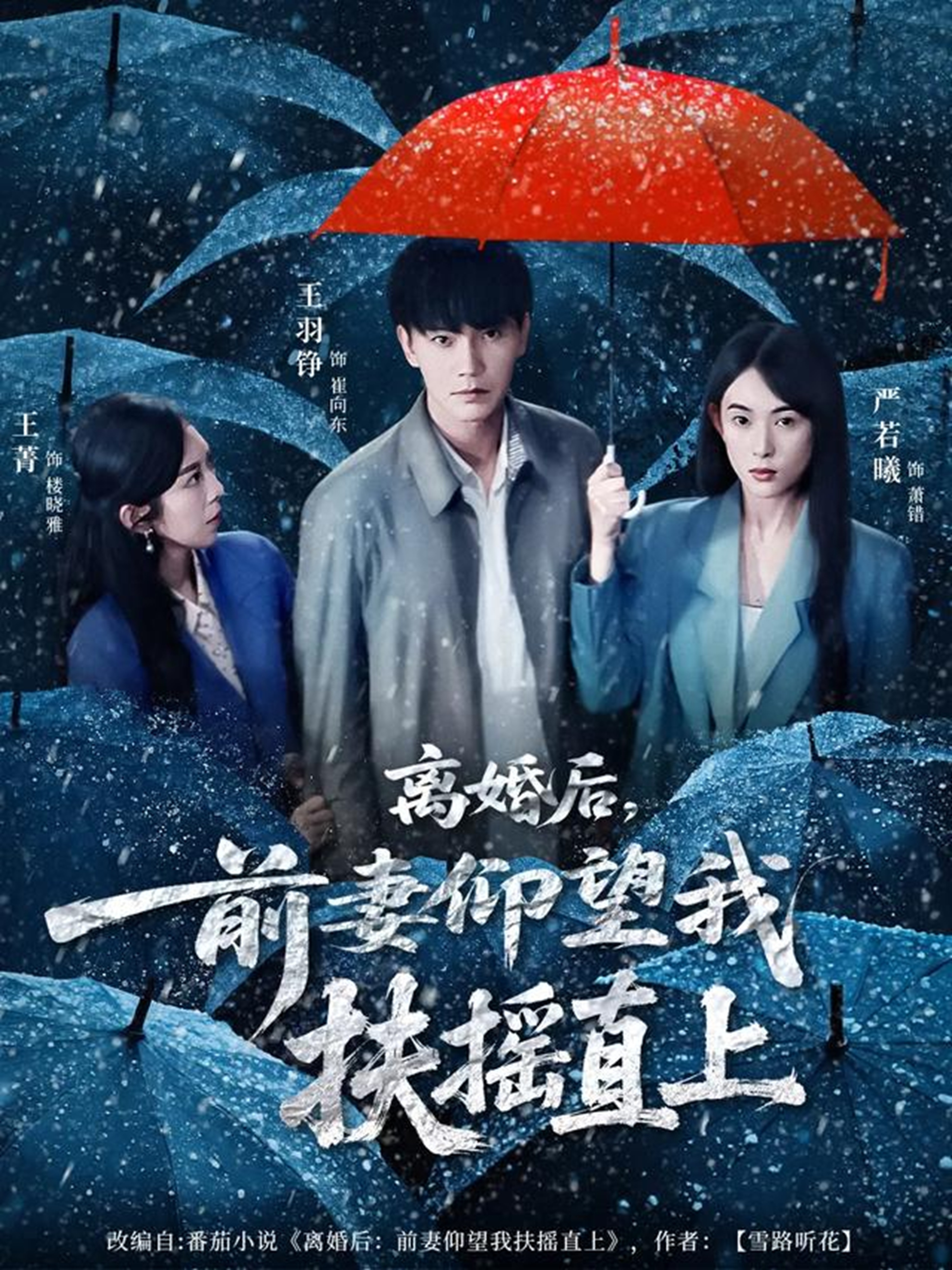 離婚后，前妻仰望我扶搖直上(全集)