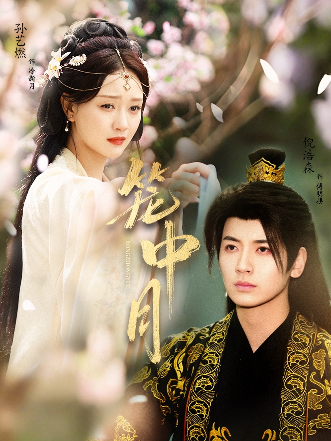 籠中月(全集)