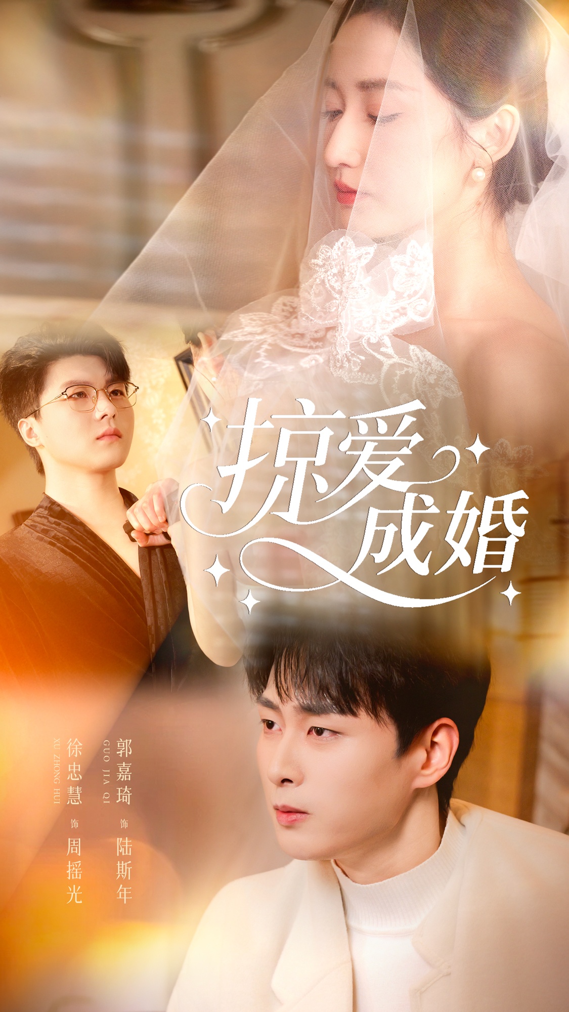 掠愛(ài)成婚(全集)