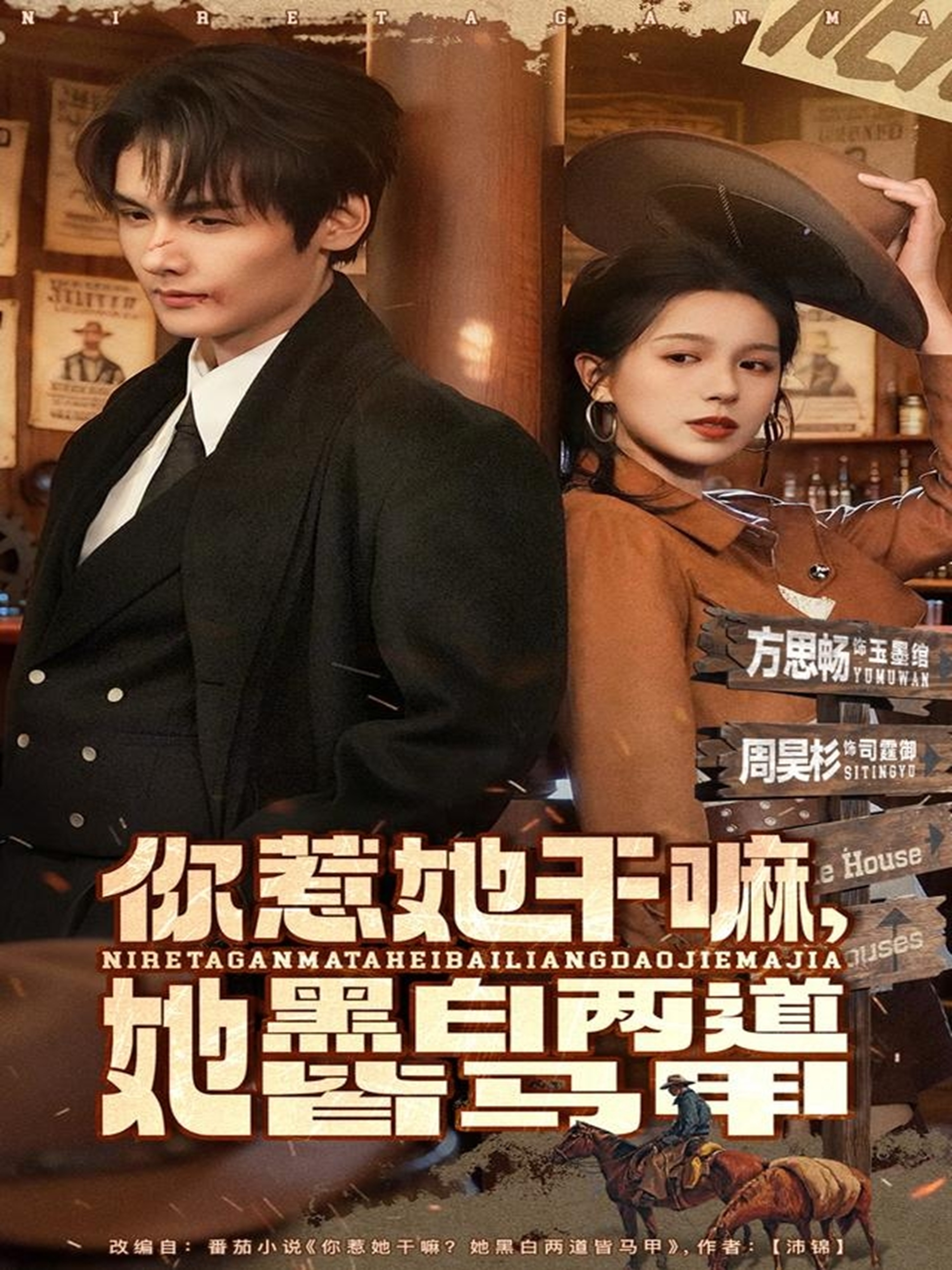 你惹她干嘛，她黑白兩道皆馬甲(全集)