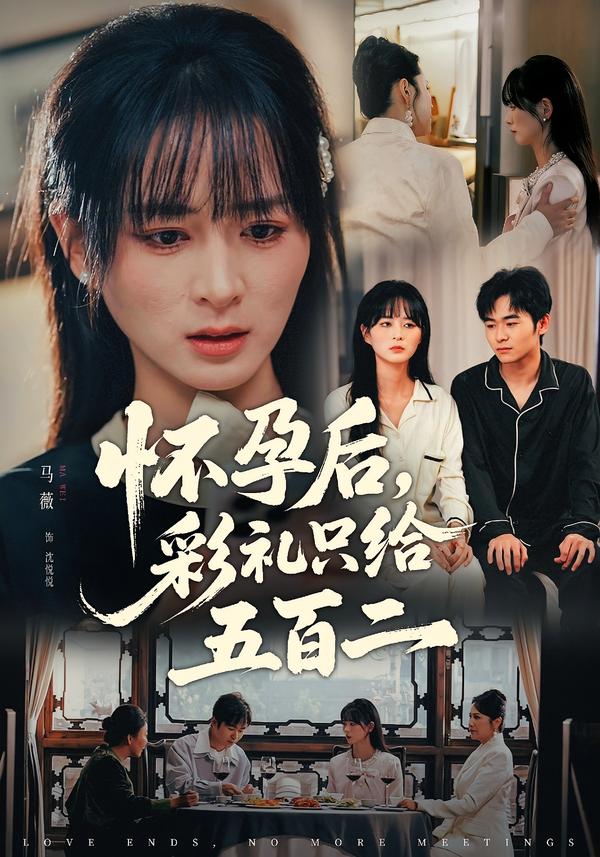 懷孕后，彩禮只給五百二(全集)