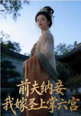 前夫納妾，我嫁圣上掌六宮(全集)