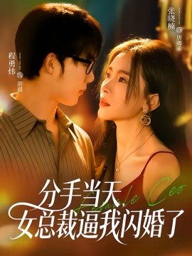 分手當(dāng)天，女總裁逼我閃婚了(全集)