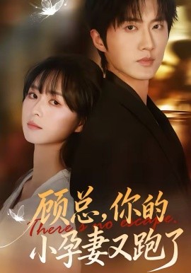 顧總，你的小孕妻又跑了(全集)