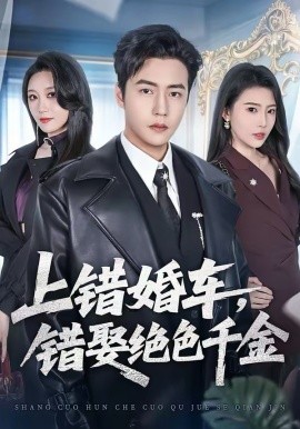 上錯婚車，錯娶絕色千金(全集)