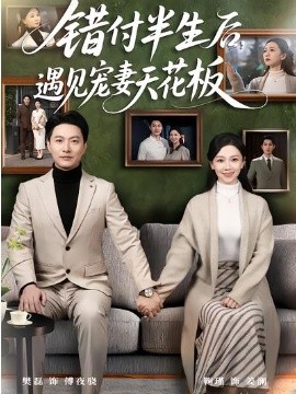 錯付半生后，遇見寵妻天花板(全集)